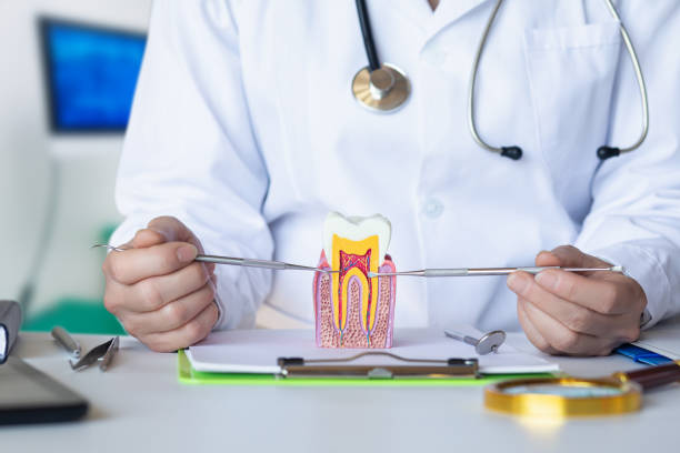 Best Emergency Treatment for Oral Infections in Shamokin, PA